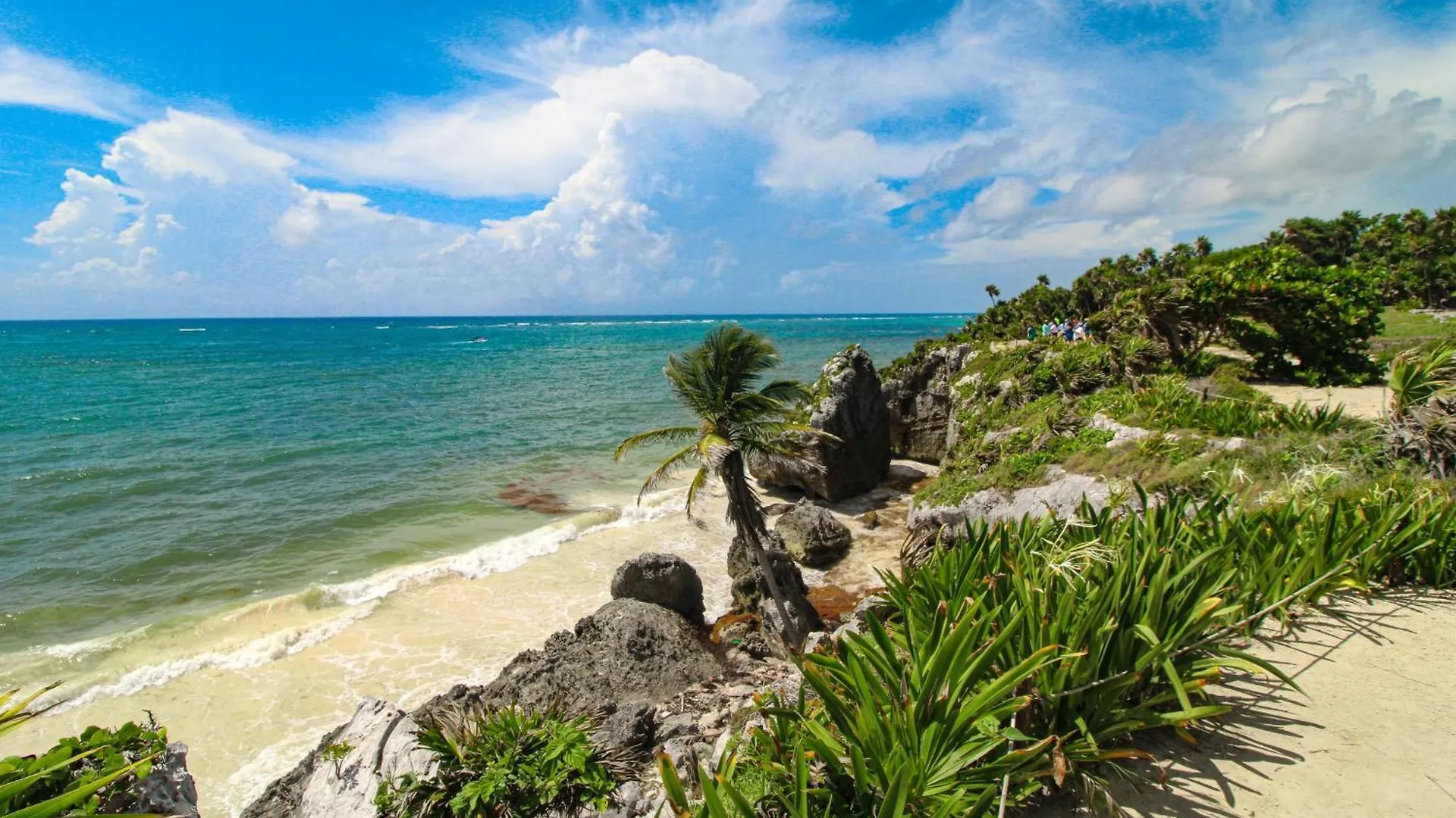 Paradise Awaits @ Tao Edena 32 Tulum Mexico